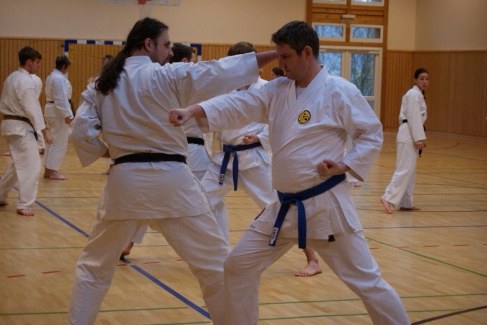 Karate in Schweich beim TuS Mosella Schweich e.V.