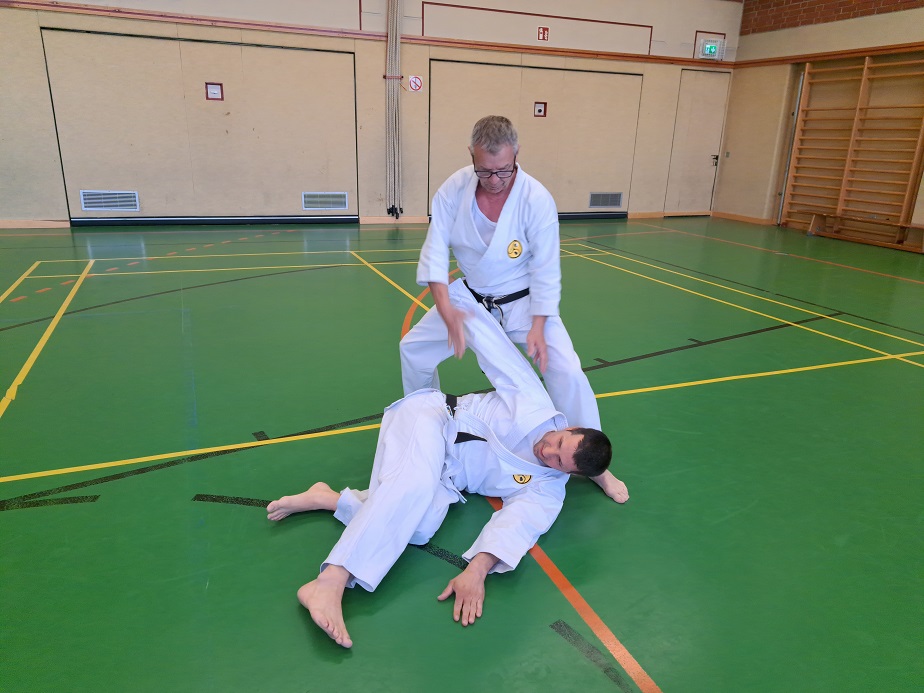 Abteilung Karate des TuS Mosella Schweich e.V.