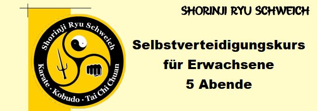 Selbstverteidigungskurs für Erwachsene