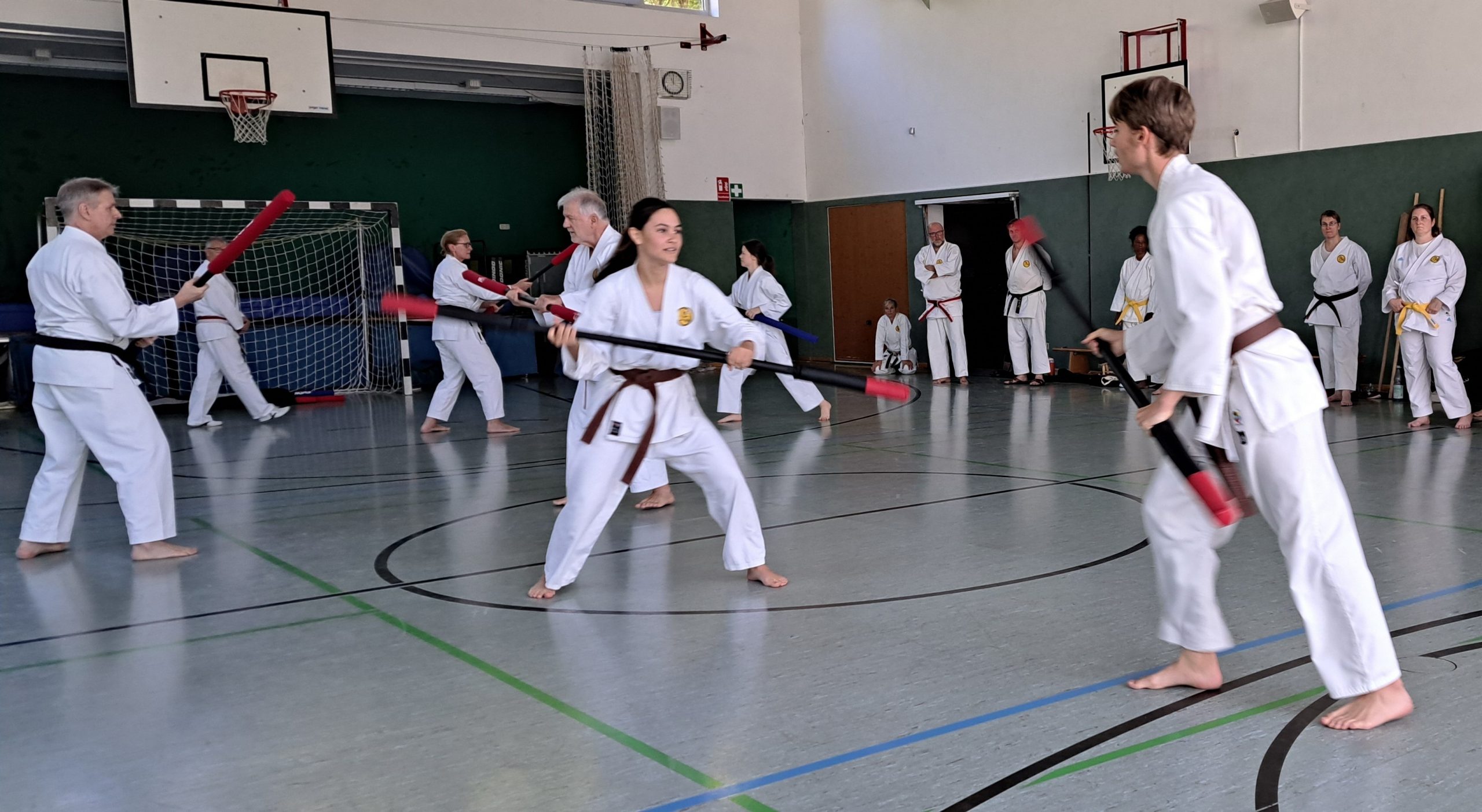 Eine intensive Trainingswoche in Wetzlar: Sieben Karateka des TuS Mosella Schweich trainierten beim Karate-Sommertrainingslager 2026 mit. Eine intensive Trainingswoche in Wetzlar: Sieben Karateka des TuS Mosella Schweich trainierten beim Karate-Sommertrainingslager 2026 mit.