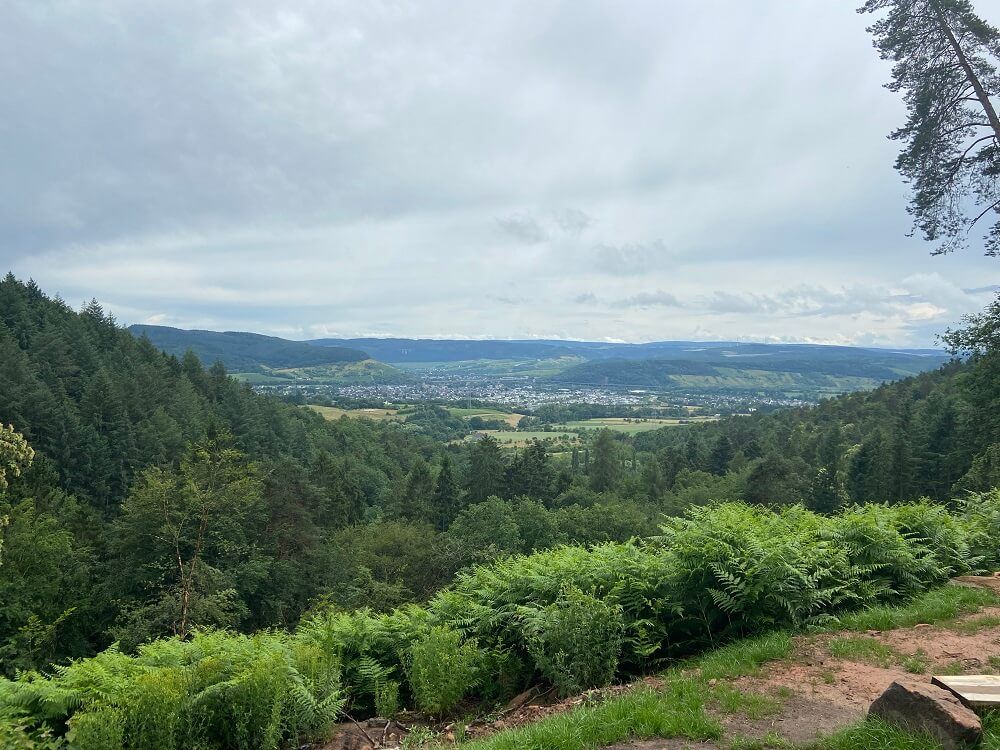 Der Blick ins Moseltal vom Meulenwald-Moseltal-Blick Der Blick ins Moseltal vom Meulenwald-Moseltal-Blick